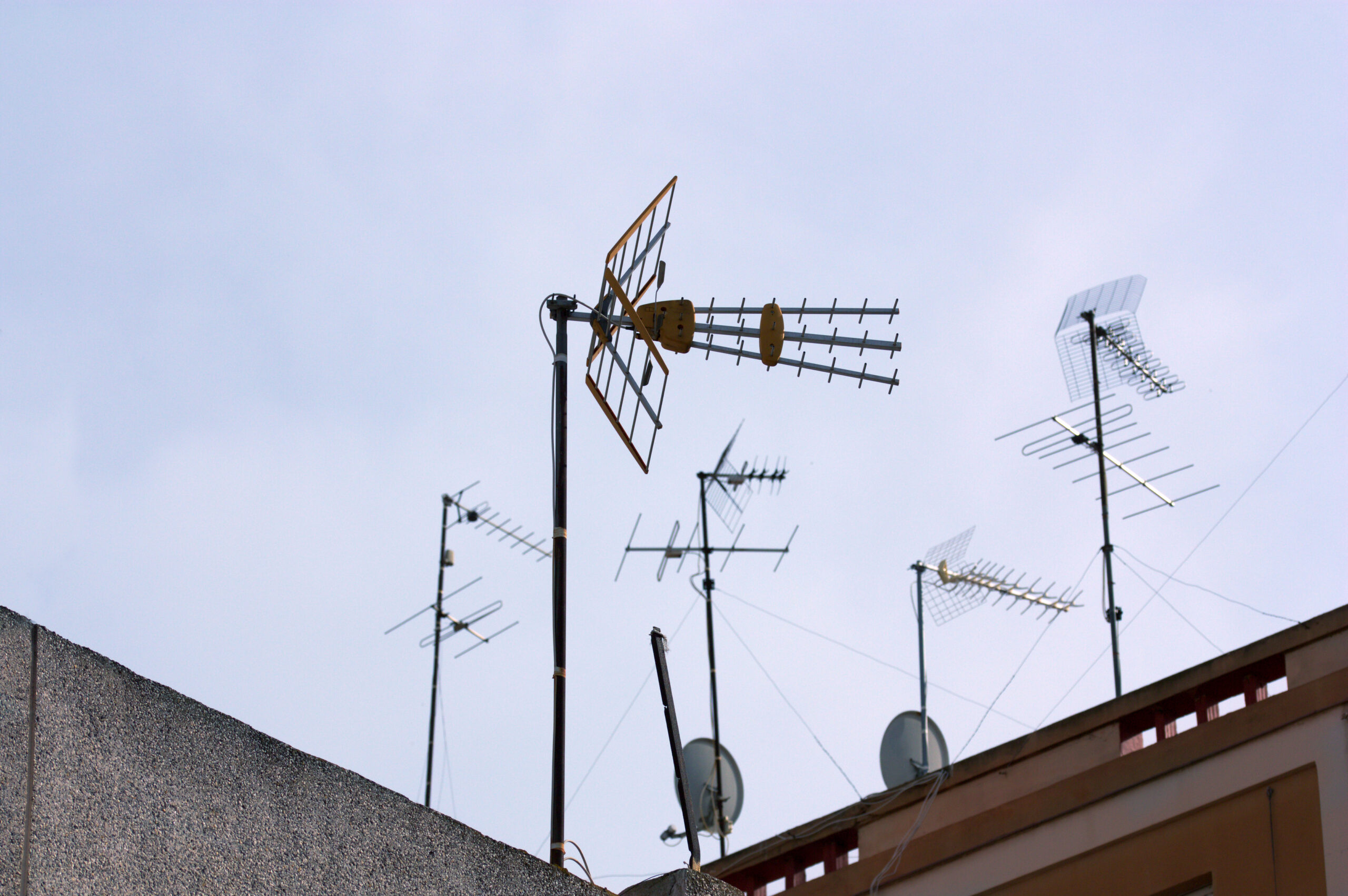 shutterstock_1706010748